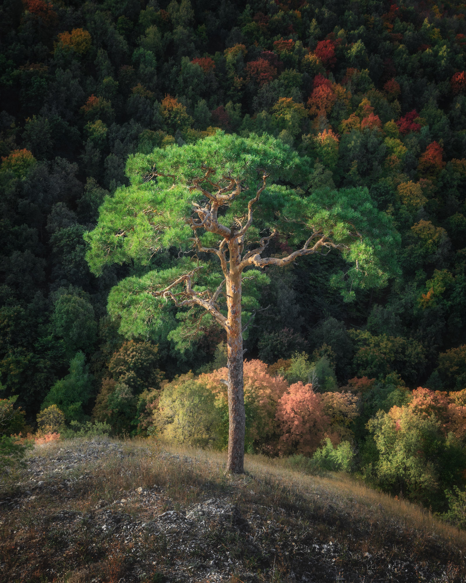 Фото пейзажа